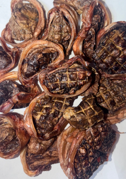 Traquea rellena