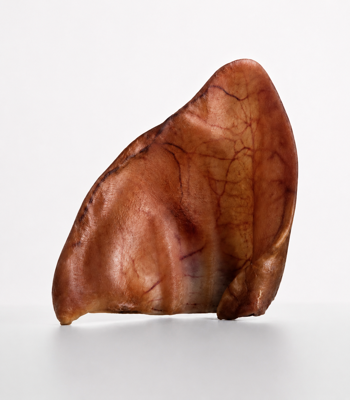 Oreja de cerdo